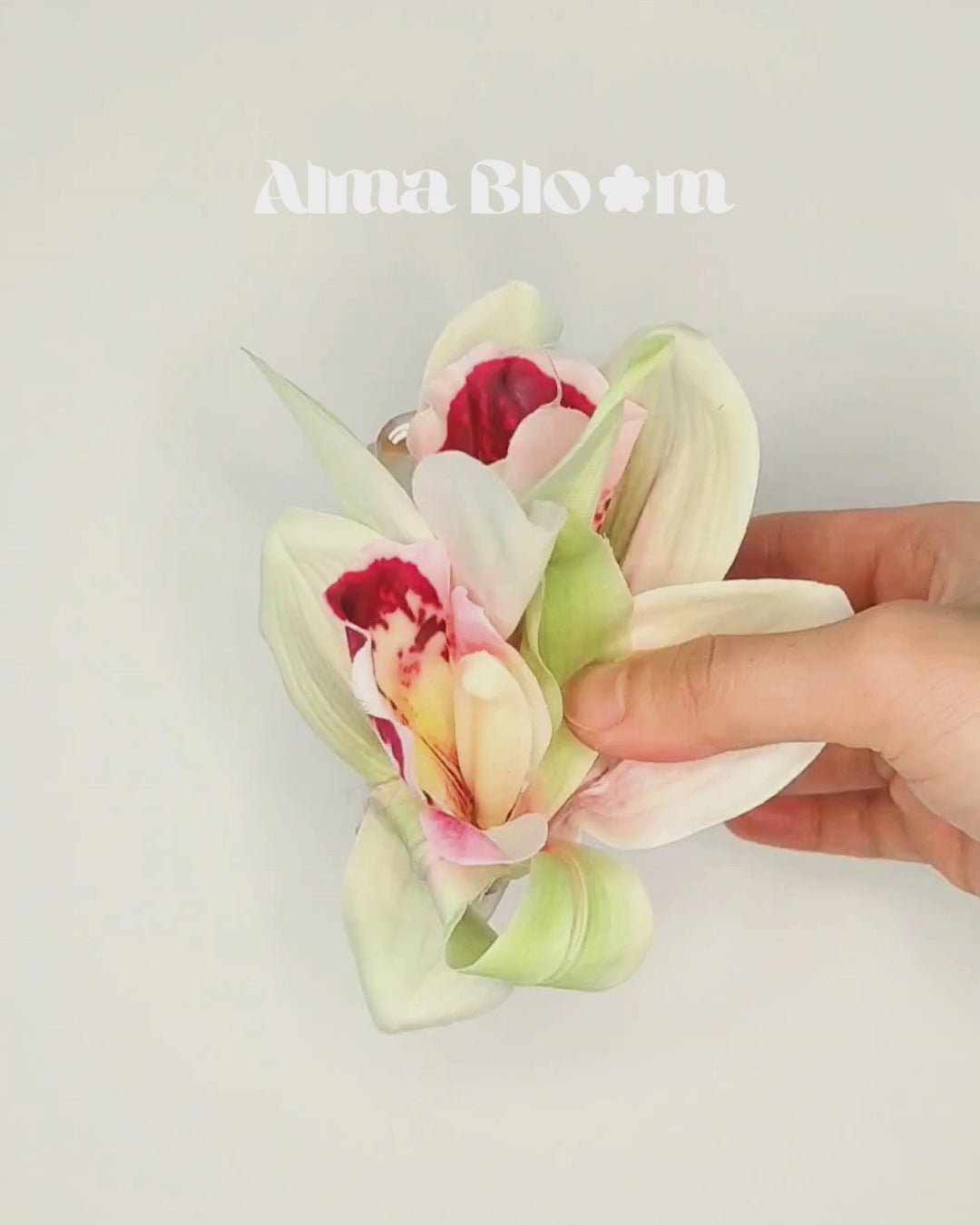 SS26 Collection - Orchid Cymbidium hair clip